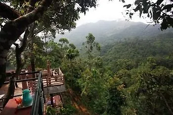 ***  Wild Elephant Eco Friendly Resort Munnar Indien