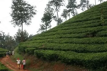 Wild Elephant Eco Friendly Resort Munnar