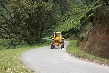 Wild Elephant Eco Friendly Resort Munnar Indien