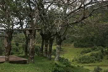 Wild Elephant Eco Friendly Resort Munnar 3*,  Indien