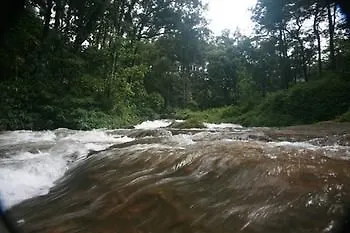 Wild Elephant Eco Friendly Resort Munnar