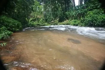 Wild Elephant Eco Friendly Resort Munnar