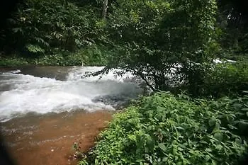 Wild Elephant Eco Friendly Resort Munnar