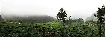 Wild Elephant Eco Friendly Resort Munnar