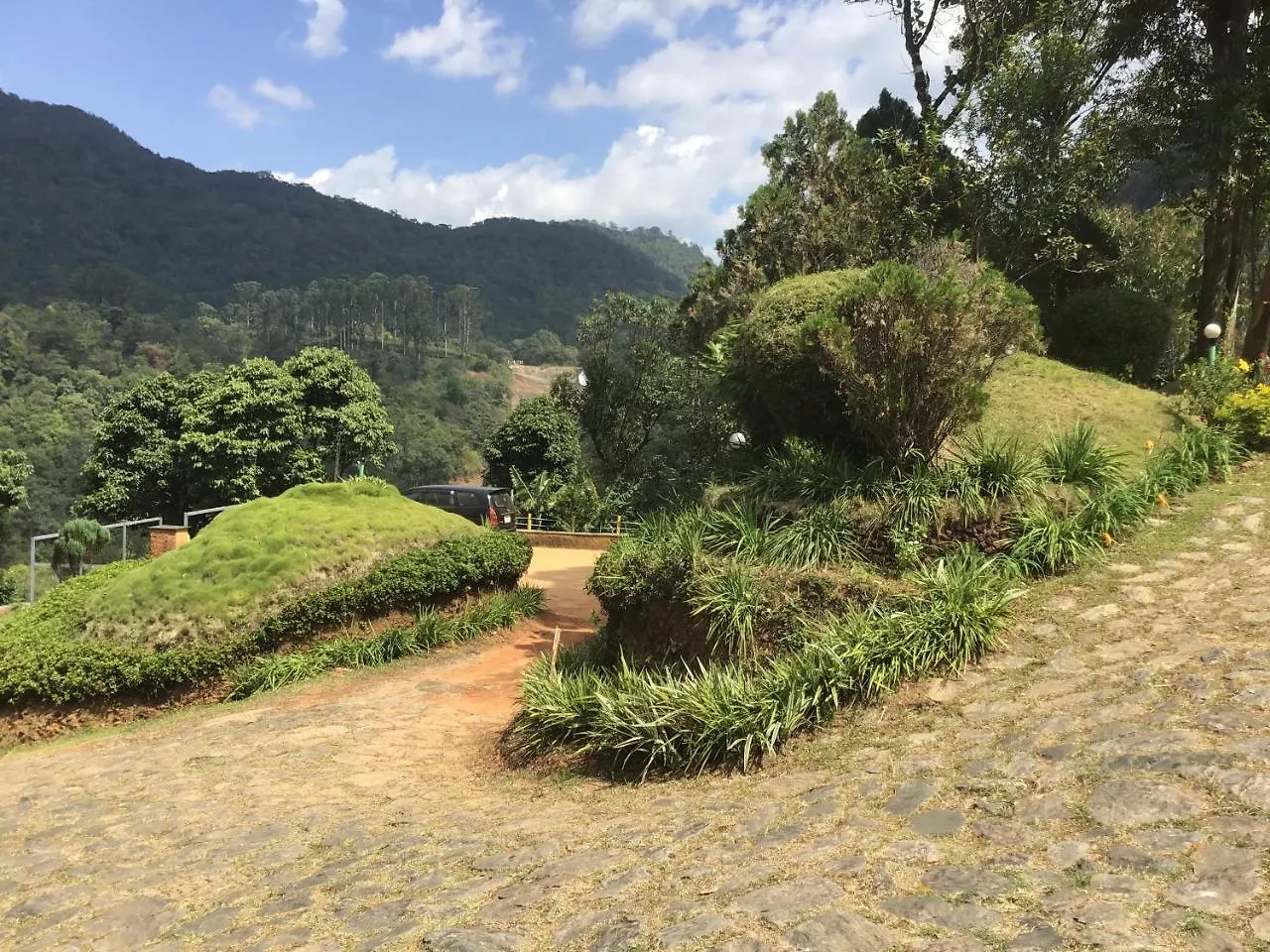 Wild Elephant Eco Friendly Resort Munnar