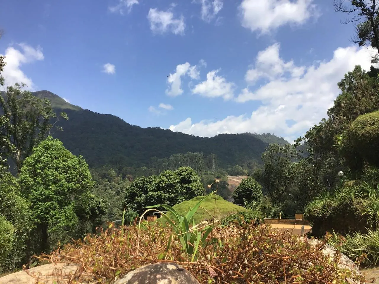 Wild Elephant Eco Friendly Resort Munnar