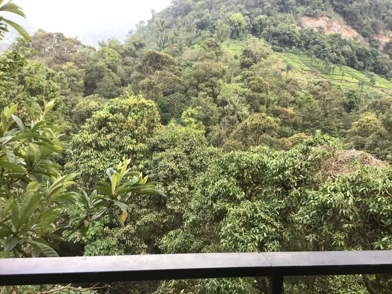 Wild Elephant Eco Friendly Resort Munnar 3*,
