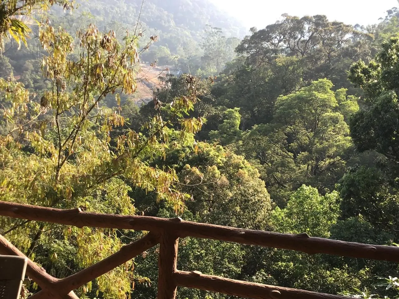 Wild Elephant Eco Friendly Resort Munnar