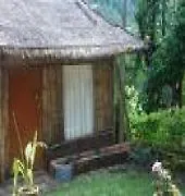 Wild Elephant Eco Friendly Resort Munnar Indien